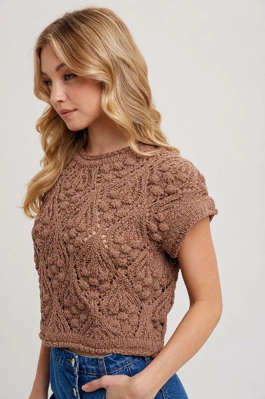 Annalise Short Sleeve Crochet Cropped Sweater Top Brown